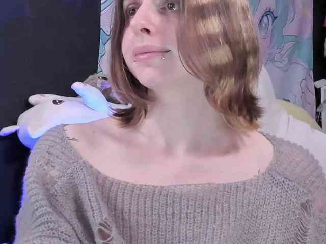 yorogumo webcam