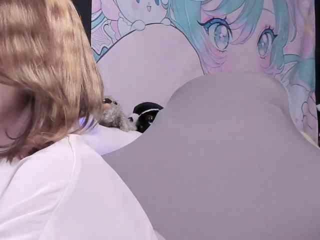 yorogumo webcam