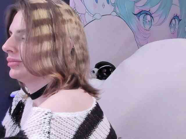 yorogumo webcam