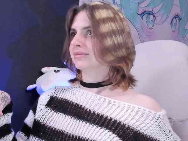 yorogumo webcam