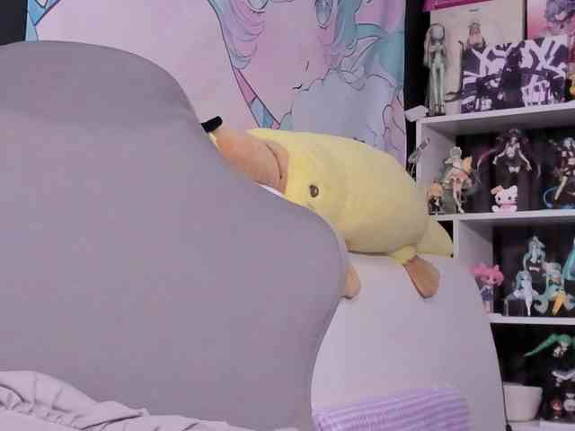 yorogumo webcam