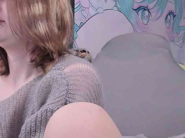 yorogumo webcam