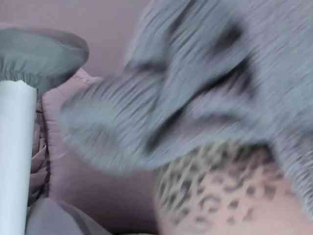 yorogumo webcam