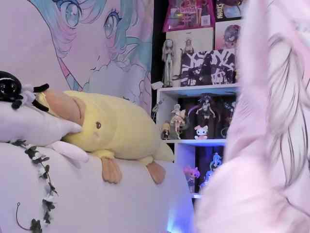 yorogumo webcam