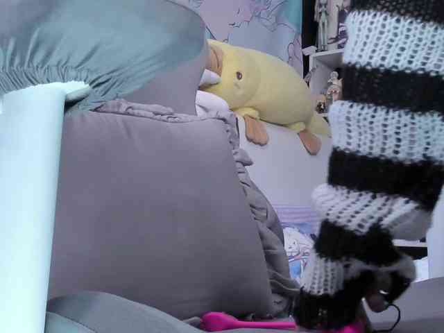 yorogumo webcam