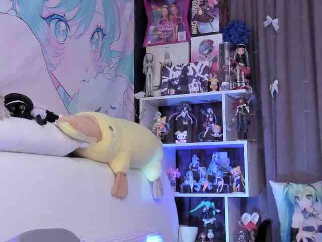 yorogumo webcam