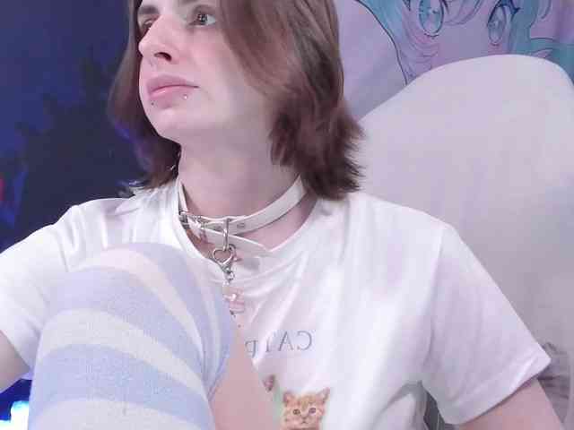 yorogumo webcam