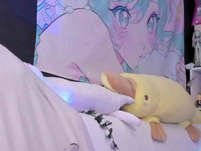 yorogumo webcam