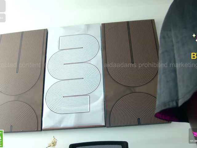 Preview of aidaadams