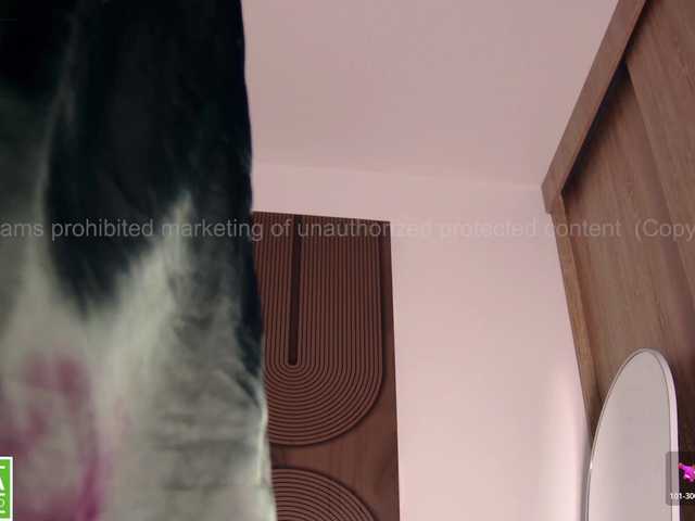 Preview of aidaadams