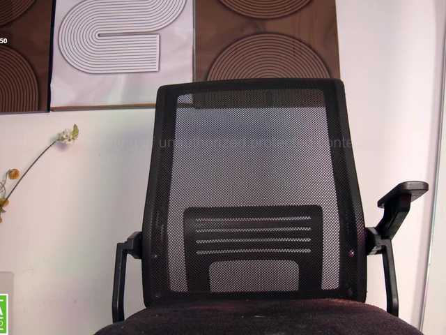 Preview of aidaadams