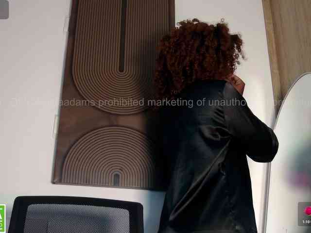 模特: aidaadams