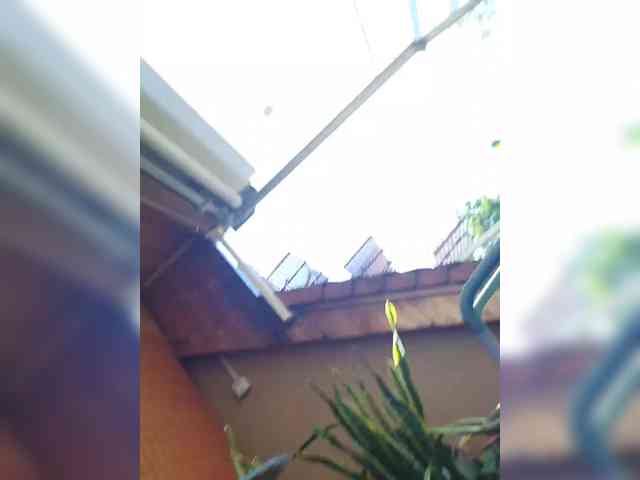 Sunshine-Couple webcam