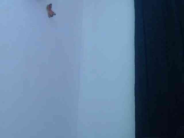 Abigail-jhons webcam