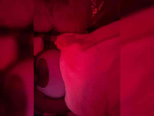 LacyPink