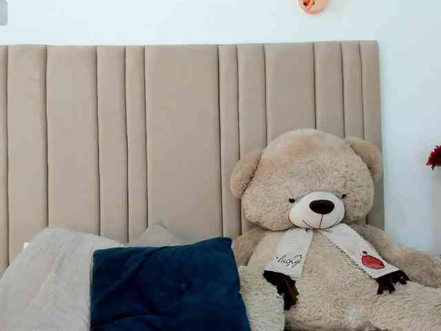 izadii webcam