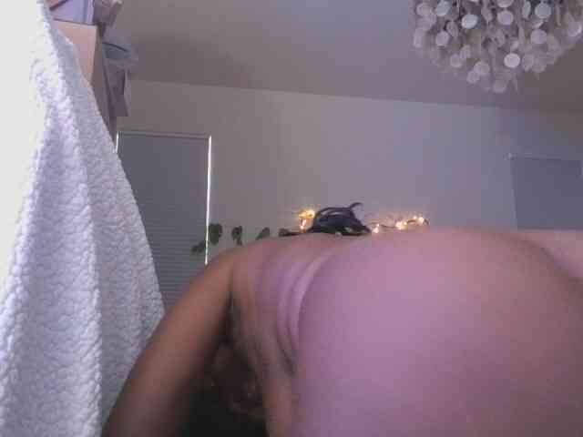 jenkini webcam