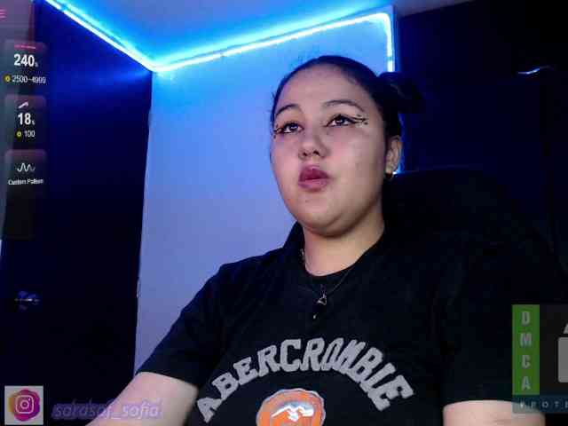 sara-sof webcam