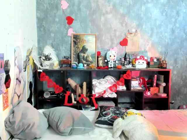 provocatemur webcam