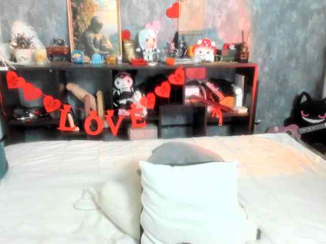 provocatemur webcam