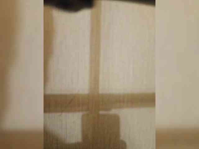 Modelo: PupoQs