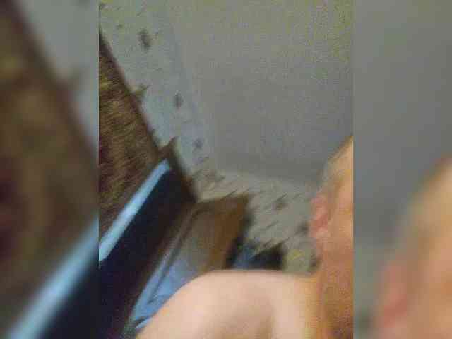 PupoQs webcam