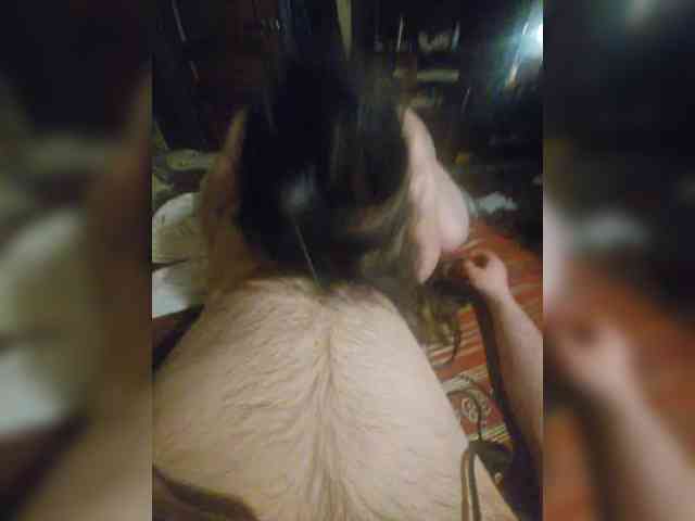 Modelo: PupoQs