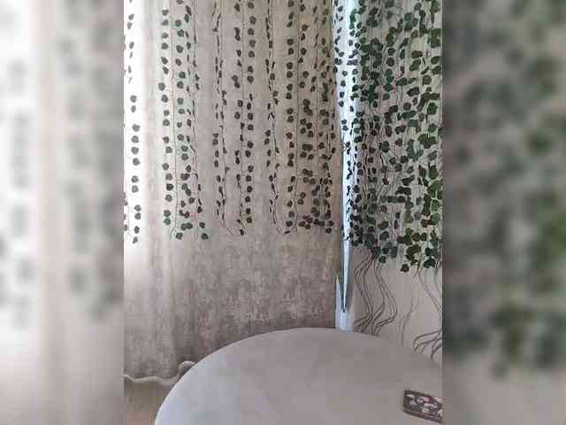 Kirakedi webcam