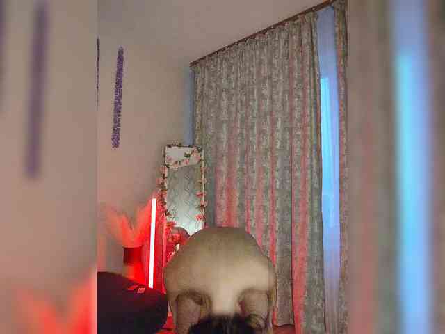 Kirakedi webcam