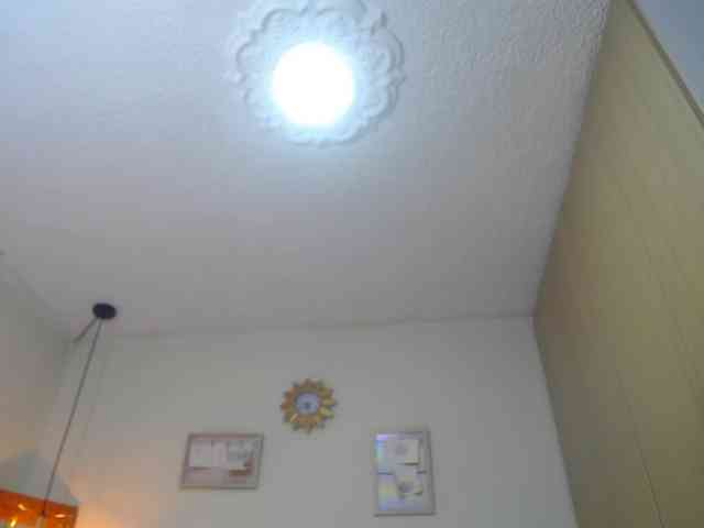 ameliiporter webcam