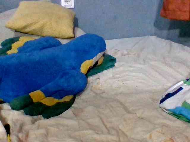Saminahh webcam