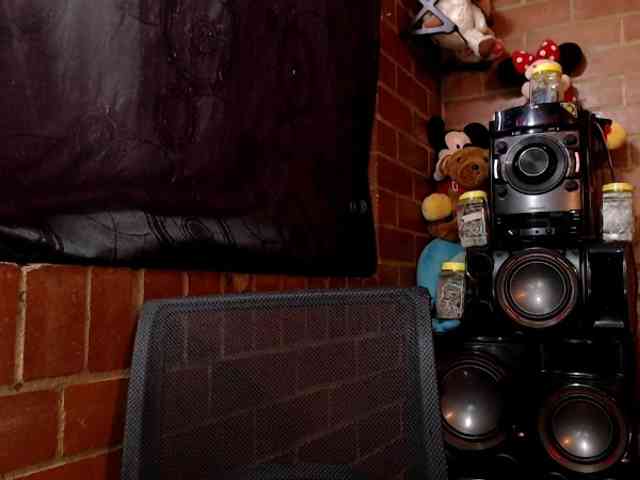 AlexandrinaFenix webcam
