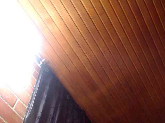 AlexandrinaFenix webcam