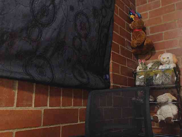 AlexandrinaFenix webcam