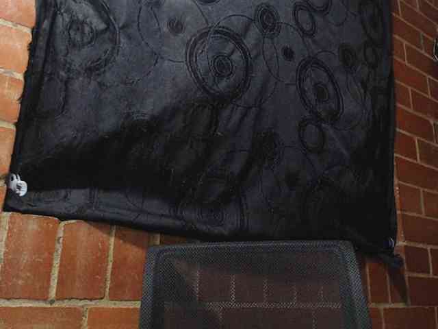 AlexandrinaFenix webcam