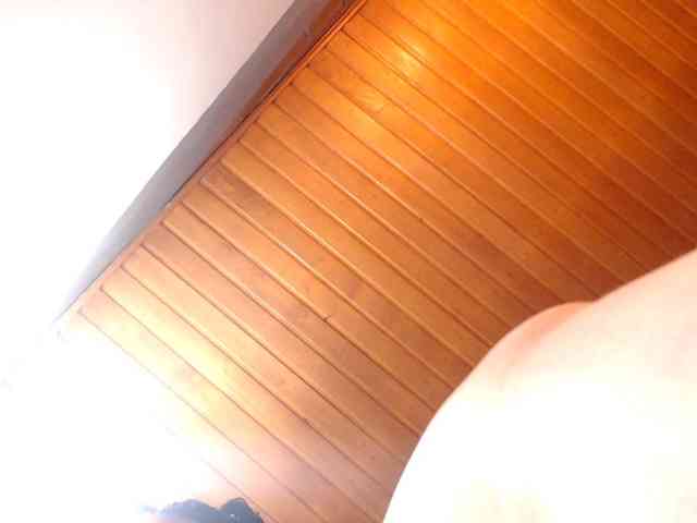 AlexandrinaFenix AlexandrinaFenix