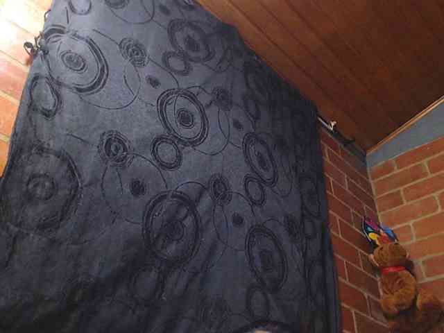 AlexandrinaFenix webcam