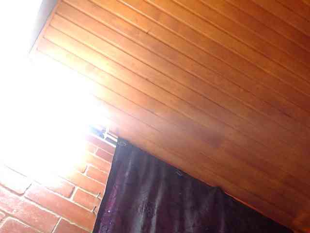 AlexandrinaFenix webcam