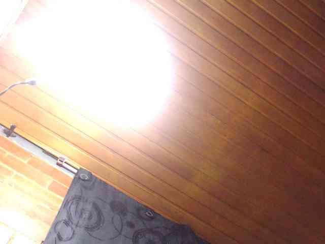 AlexandrinaFenix webcam