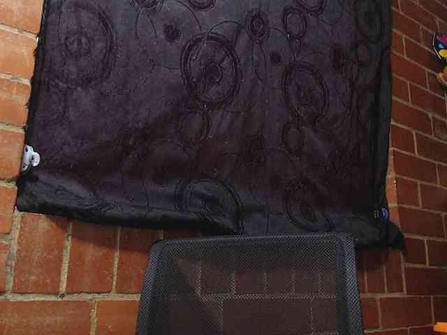 AlexandrinaFenix webcam