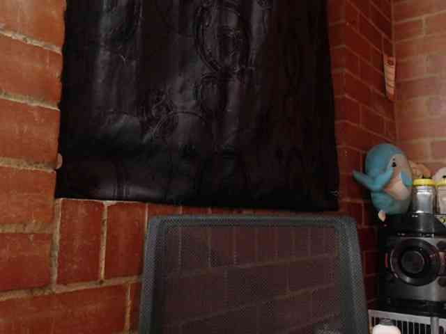 AlexandrinaFenix webcam