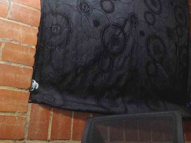 AlexandrinaFenix webcam