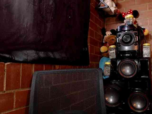 AlexandrinaFenix webcam