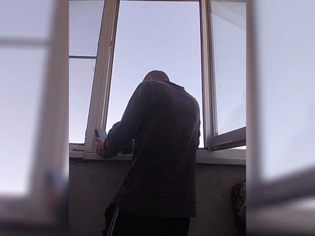 Falos39