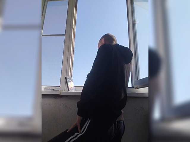 Falos39