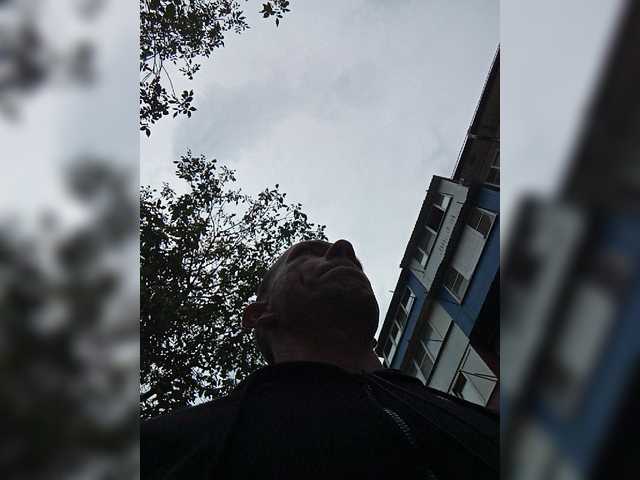Falos39