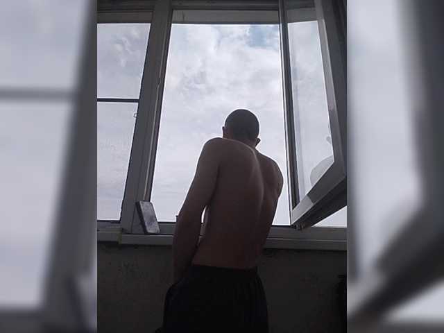 Falos39
