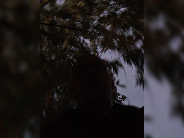 Super_chlen
