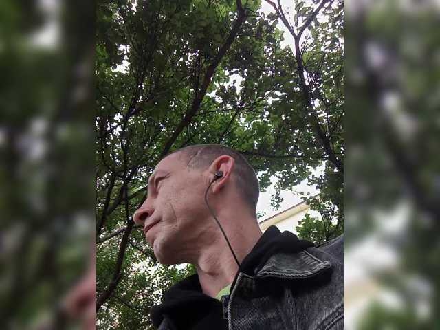 Falos39