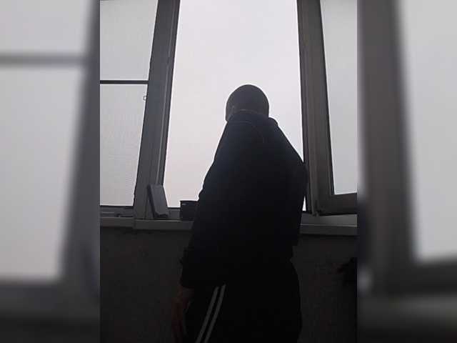 Falos39